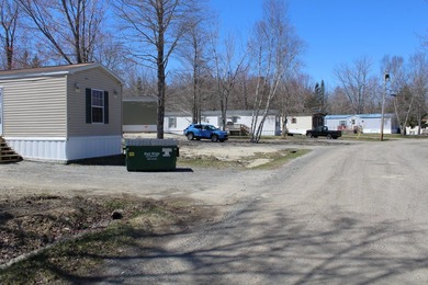 Birchtree Meadows consists of 42 homes and could add up to 6 - photo 9