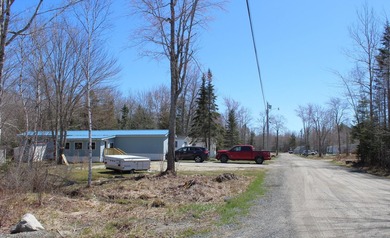 Birchtree Meadows consists of 42 homes and could add up to 6 - photo 10