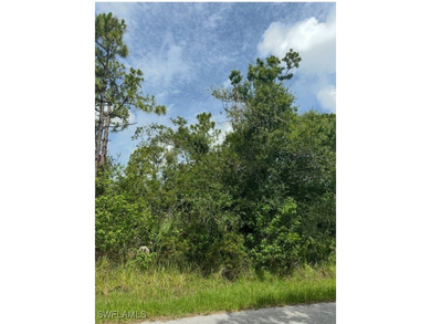 Port Charlotte Waterway Area Lot For Sale in Punta Gorda Florida