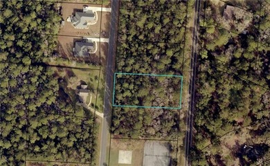 Crooked River Lot For Sale in Woodbine Georgia