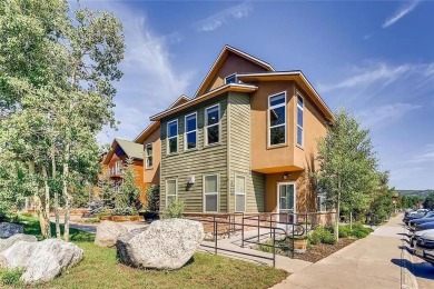 Dillon Reservoir Commercial For Sale in Frisco Colorado