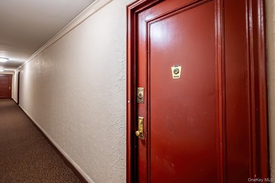 2 Bedroom conveniently located in Spuyten Duyvil. Windowed - photo 19