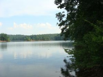 Leesville Lake Lot For Sale in Lynch Station Virginia