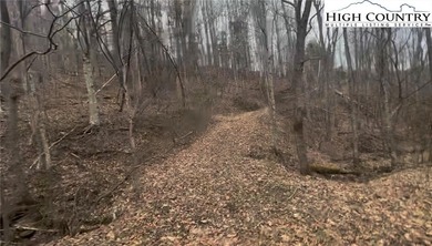 (private lake, pond, coastal) Acreage For Sale in Crumpler North Carolina