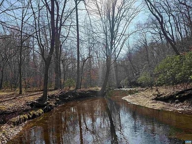 Located just 30 minutes from Charlottesville, this 118-acre - photo 1
