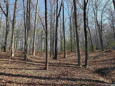 Located just 30 minutes from Charlottesville, this 118-acre - photo 2