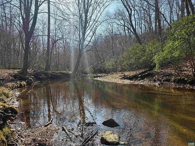 Located just 30 minutes from Charlottesville, this 118-acre - photo 3