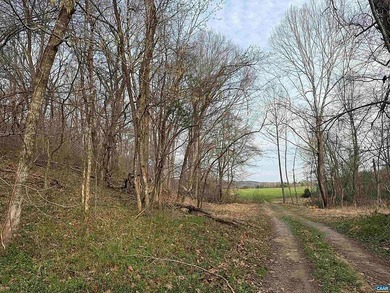 Located just 30 minutes from Charlottesville, this 118-acre - photo 6