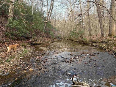 Located just 30 minutes from Charlottesville, this 118-acre - photo 7