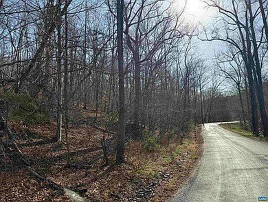 Located just 30 minutes from Charlottesville, this 118-acre - photo 8