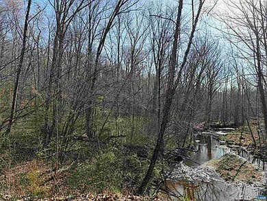 Located just 30 minutes from Charlottesville, this 118-acre - photo 9