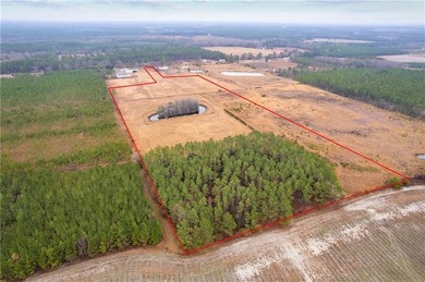 (private lake, pond, coastal) Acreage For Sale in Baxley Georgia