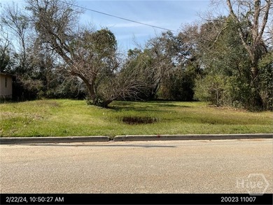 Nice lot in west Savannah. This is a probate sale. All offers - photo 1