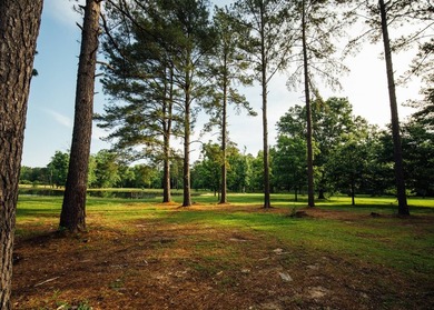 Located in the heart of East Mississippi, this exceptional - photo 19