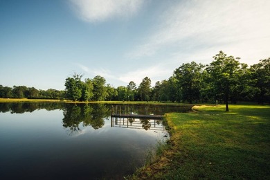 Located in the heart of East Mississippi, this exceptional - photo 20