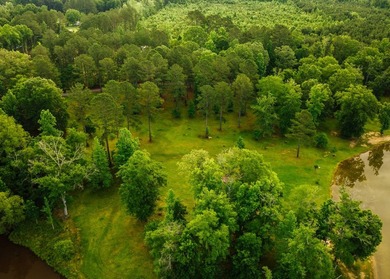 Located in the heart of East Mississippi, this exceptional - photo 22