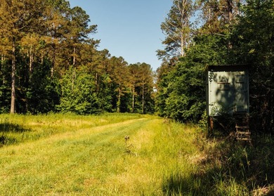 Located in the heart of East Mississippi, this exceptional - photo 25