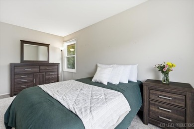 Welcome to this Hoffman Estates Highlands split-level home with - photo 26