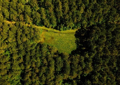Located in the heart of East Mississippi, this exceptional - photo 26