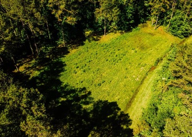 Located in the heart of East Mississippi, this exceptional - photo 27