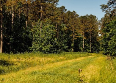 Located in the heart of East Mississippi, this exceptional - photo 30