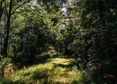 Located in the heart of East Mississippi, this exceptional - photo 31