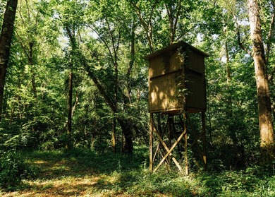 Located in the heart of East Mississippi, this exceptional - photo 32