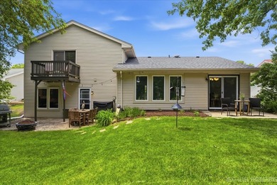 Welcome to this Hoffman Estates Highlands split-level home with - photo 33