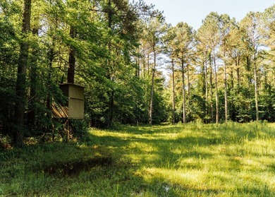Located in the heart of East Mississippi, this exceptional - photo 33