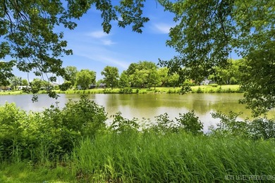 Welcome to this Hoffman Estates Highlands split-level home with - photo 35