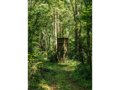 Located in the heart of East Mississippi, this exceptional - photo 35
