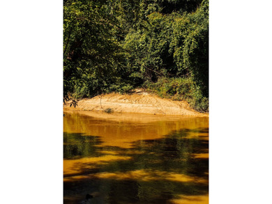 Located in the heart of East Mississippi, this exceptional - photo 36