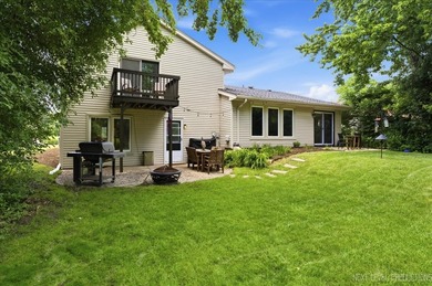 Welcome to this Hoffman Estates Highlands split-level home with - photo 37