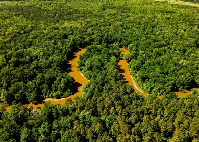 Located in the heart of East Mississippi, this exceptional - photo 37