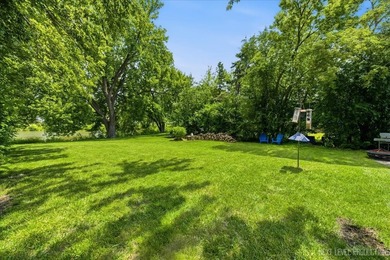 Welcome to this Hoffman Estates Highlands split-level home with - photo 38