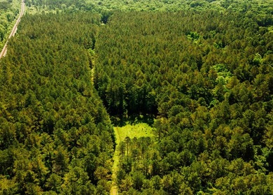 Located in the heart of East Mississippi, this exceptional - photo 38