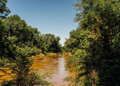 Located in the heart of East Mississippi, this exceptional - photo 39