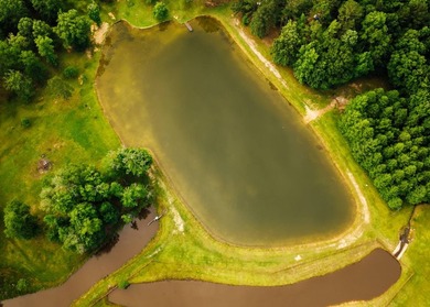 Located in the heart of East Mississippi, this exceptional - photo 40