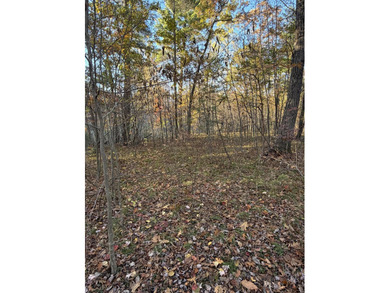 (private lake, pond, creek) Acreage For Sale in Howard City Michigan