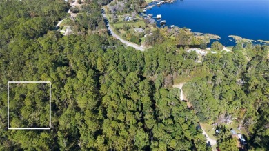 Lake Lot For Sale in Florahome, Florida