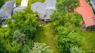 Welcome to this Hoffman Estates Highlands split-level home with - photo 44