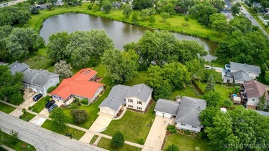 Welcome to this Hoffman Estates Highlands split-level home with - photo 47