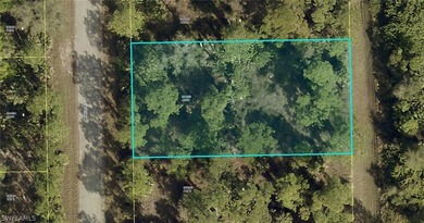 Lehigh Acres Area Lot For Sale in Lehigh Acres Florida