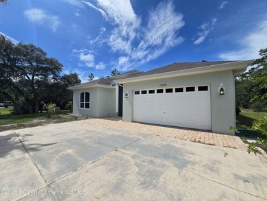 Custom Courtyard Cabana pool home. 3/3/2 on a little over 1/2 an - photo 3