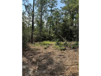 Lake Lot For Sale in Brookeland, Texas