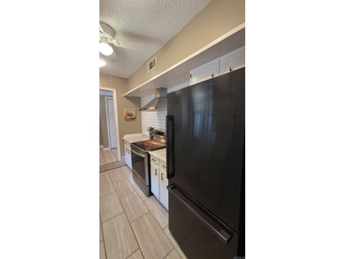 317 Castle Ridge Heights - Move-In Ready & Mostly Furnished! - photo 12
