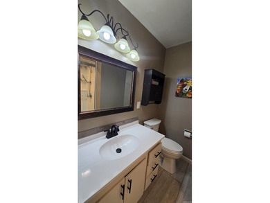 317 Castle Ridge Heights - Move-In Ready & Mostly Furnished! - photo 20