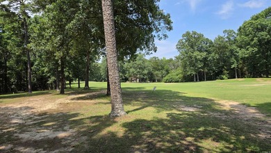 317 Castle Ridge Heights - Move-In Ready & Mostly Furnished! - photo 29