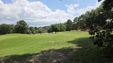 317 Castle Ridge Heights - Move-In Ready & Mostly Furnished! - photo 30