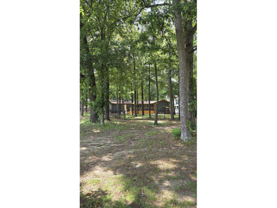 317 Castle Ridge Heights - Move-In Ready & Mostly Furnished! - photo 34